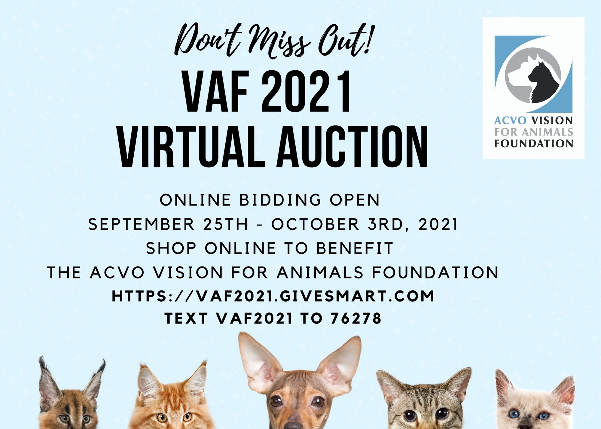 Vision For Animals Foundation